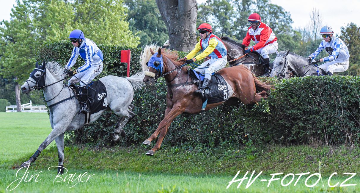 DSC_2211 kopie.jpg